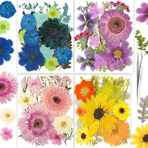 OECCO Large Blue Dried Pressed Flower for Resin, Big Real Nature Pressing Floral Leaves for DIY Craft, Mold, Jewelry Making, Candle Scrapbooking Supplies