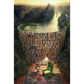 1000 Pieces Puzzle for Adults, Wooden Puzzles 29.5 x 19.7 in,Bookshelf Canal