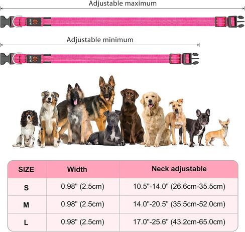 BSEEN Light Up Dog Collars - Glowing LED Dog Collar, Reflective Puppy Collar, Adjustable Lighted Dog Collar, Rechargeable Pet Collar for Night Walking (Pink-II, Large) in Saudi Arabia