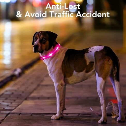 BSEEN Light Up Dog Collars - Glowing LED Dog Collar, Reflective Puppy Collar, Adjustable Lighted Dog Collar, Rechargeable Pet Collar for Night Walking (Pink-II, Large) in Saudi Arabia