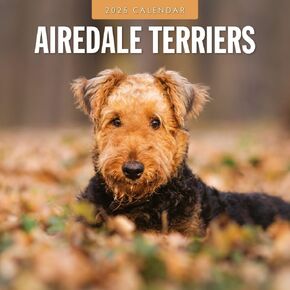 Red Robin 2025 Airedale Terriers Monthly Wall Calendar | 12" x 24" Open | Premium Thick & Sturdy Paper | Hangable 12 Month Calendar | Plastic Free | 4 Month Transition Page for 2024