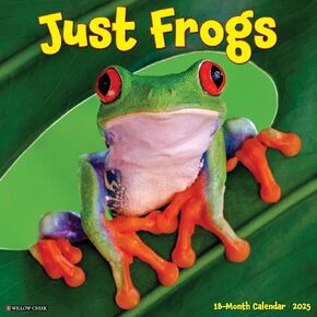 Willow Creek Press Frogs Monthly 2025 Wall Calendar (12" x 12")