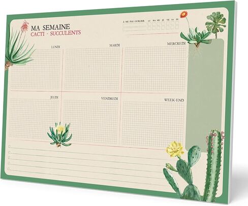 وسادة مكتب Grupo Erik Botanical Wild Flowers مقاس A4 مع تقويم يومي وأسبوعي وشهري | مخطط سطح المكتب | لوحة ملاحظات سطح المكتب | 54 ورقة تمزيقها غير مؤرخة | 8.3 × 11.7 بوصة | قائمة المهام in Kuwait