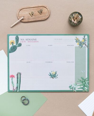 وسادة مكتب Grupo Erik Botanical Wild Flowers مقاس A4 مع تقويم يومي وأسبوعي وشهري | مخطط سطح المكتب | لوحة ملاحظات سطح المكتب | 54 ورقة تمزيقها غير مؤرخة | 8.3 × 11.7 بوصة | قائمة المهام in Kuwait