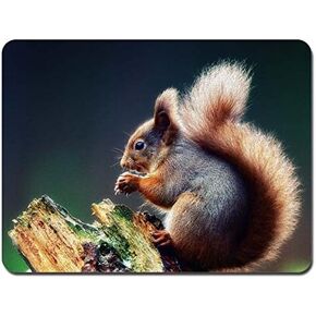 Squirrel Rectangle Mouse Pads Size:9.4" x7.9" RB114