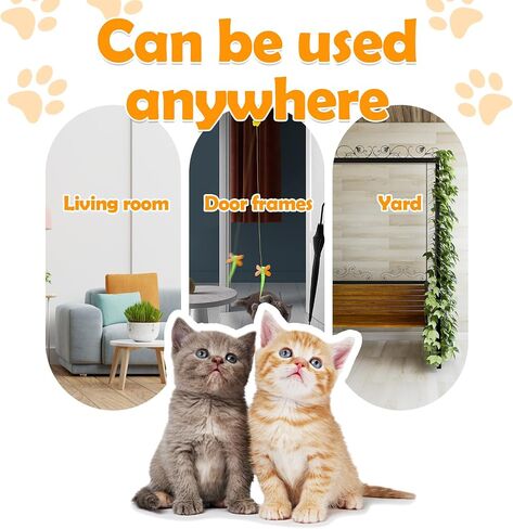 5Pcs Door Hanging Cat Toy, Interactive Cat Toys for Indoor Cats Kitten Toys Cat Feather Toy Cat String Toy Cat Products Cat Teaser Toy That Can Make Sounds in Saudi Arabia