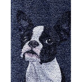 Black White Boston Terrier Latch Hook Rug Kit for Adults DIY Carpet Cushion with Printed Canvas Crochet Yarn Craft Hook and Latch Tapestry for Home Decor Pets Warm Pads 52x38cm(2)