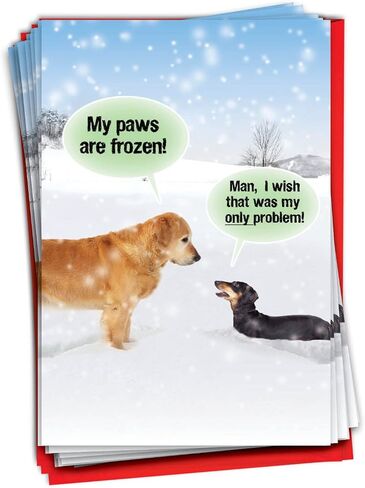 NobleWorks Bulk Pack of 36 Funny Christmas Cards w/Envelopes, Boxed Joyful Holiday Humor Dog Greeting Cards for Men and Women (1 Designs, 36 Each) - My Paws Are Frozen C5953XSG-B36 in Saudi Arabia