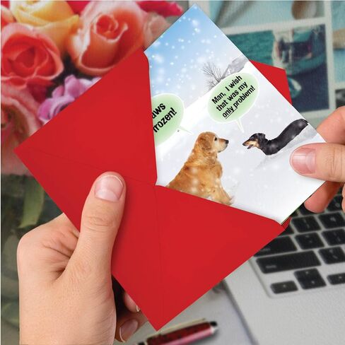 NobleWorks Bulk Pack of 36 Funny Christmas Cards w/Envelopes, Boxed Joyful Holiday Humor Dog Greeting Cards for Men and Women (1 Designs, 36 Each) - My Paws Are Frozen C5953XSG-B36 in Saudi Arabia