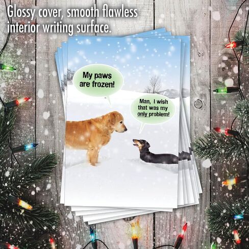 NobleWorks Bulk Pack of 36 Funny Christmas Cards w/Envelopes, Boxed Joyful Holiday Humor Dog Greeting Cards for Men and Women (1 Designs, 36 Each) - My Paws Are Frozen C5953XSG-B36 in Saudi Arabia