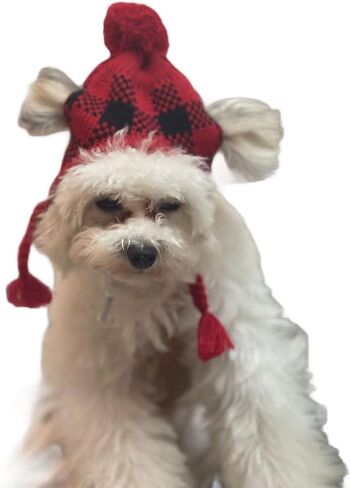 Red Black Plaid Dog Christmas Hat, Braided Knit Dog Pom Pom Hats Accessory Costume for Pets Buffalo Medium in Kuwait