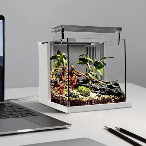 حوض سمك صغير ممتاز الكل في واحد من الأكريليك 0.95 جالون (3.6 لتر) مع نظام فلتر خلفي وإضاءة LED (BF-01B) in Kuwait