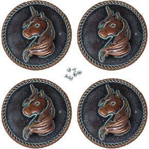 CHALLENGER Set of 4 Screw Back Conchos Western Saddle Co623