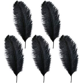 Rgontar 10-12 inches Black Ostrich Feather,Large Natural Ostrich,Plumas para Decoraciones for Home Decor Party Wedding Decorations, Pack of 5 (Black)