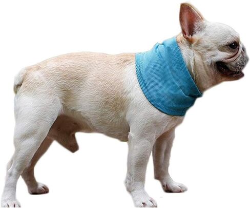NACOCO 2 Pcs Dog Instant Cooling Scarf Summer Pet Bandana Cats Collar Ice Towels for Bulldog (Blue, M) in Kuwait