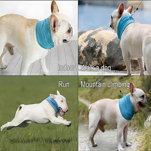 NACOCO 2 Pcs Dog Instant Cooling Scarf Summer Pet Bandana Cats Collar Ice Towels for Bulldog (Blue, M) in Kuwait