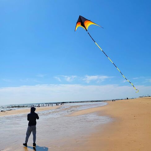 Giant Kite for Adults Easy to Fly, 9ft Huge Delta Kite Come with 98ft Tail in Saudi Arabia