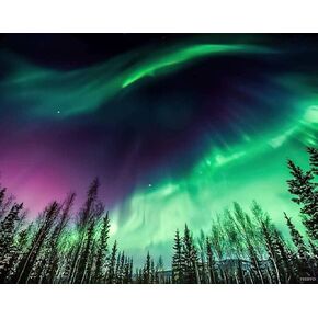 YEEIFFD Alaska Diamond Painting Kits for Adults, Landscape Purple and Green Northern Lights in Wave Over Trees DIY 5D Pictures Round Drill Art Relaxation Wall Decor Stitch 12x16 Inch