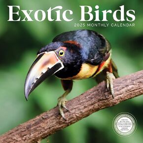 Exotic Birds Calendar 2025 | 12" x 24" Wall Calendar 12 Month | Marble City Press | Tropical Birds Parakeet Cockatoo Bird of Paradise Pheasant | 2024-2025 Calendar
