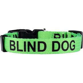 طوق Native Pup Blind Dog - تنبيه محدود البصر - لون أخضر نابض بالحياة يلفت الأنظار - نايلون متين (متوسط)