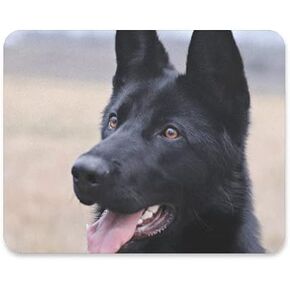 Hokkien Rottweiler Dog Mouse Pad Smooth Surface Gaming Pad Thick Non-Slip Rubber Base Colorful Cute Design Art Artist Painting Unique Novelty Gift for School Office Game