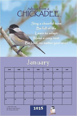 Advice from Nature 2025 Wall Calendar, 16-Month Calendar with Inspirational Nature Art, 18x12 Inches, Printed on Replanted Paper CADV2025 in Saudi Arabia