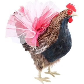 Chicken Tutu for Your Hen Decoration Skirt Princess Dress (Cloth Style)