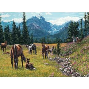 Cobble Hill 1000 Piece Puzzle - Horse Meadow - Sample Poster Included