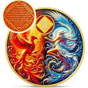 Phoenix Fairy 2 Year Na Medallions - Sun and Moon Sobriety Coin - One Year Recovery Addiction Token - Celebrate Clean and Sober Chip - 0-10 Prime Narcotics Anonymous Gifts for Men Women