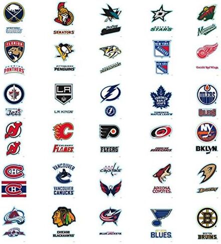 fb 10 Hockey Stickers 2 Stickers per sheet. 20 Stickers Total. Random Mix of 10 in Saudi Arabia
