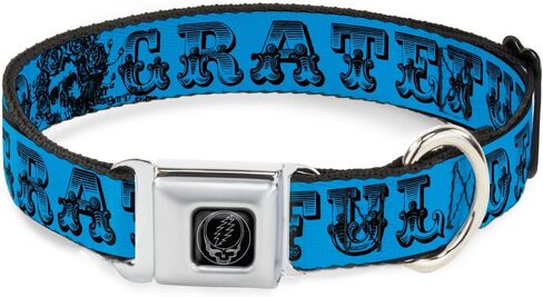 Dog Collar Seatbelt Buckle Grateful Dead Text Skull Roses Turquoise 15 to 26 Inches - Large1.0 Inch Wide, Multicolor in Saudi Arabia