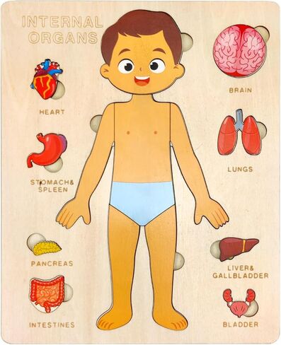 Wooden Body Puzzles for Kids, Toddler Montessori 14 Pieces Boy Anatomy Puzzle, Human Body Learning Toy with Internal Organs Early STEM Educational Toy for Boys and Girls Ages 3 4 5 6 Years Old in Saudi Arabia