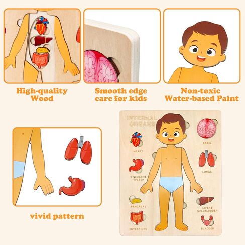 Wooden Body Puzzles for Kids, Toddler Montessori 14 Pieces Boy Anatomy Puzzle, Human Body Learning Toy with Internal Organs Early STEM Educational Toy for Boys and Girls Ages 3 4 5 6 Years Old in Saudi Arabia