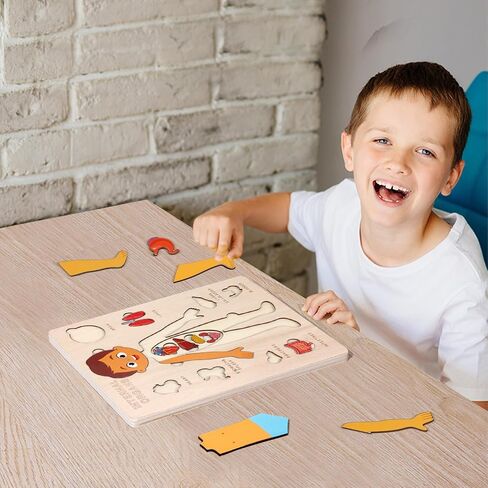 Wooden Body Puzzles for Kids, Toddler Montessori 14 Pieces Boy Anatomy Puzzle, Human Body Learning Toy with Internal Organs Early STEM Educational Toy for Boys and Girls Ages 3 4 5 6 Years Old in Saudi Arabia