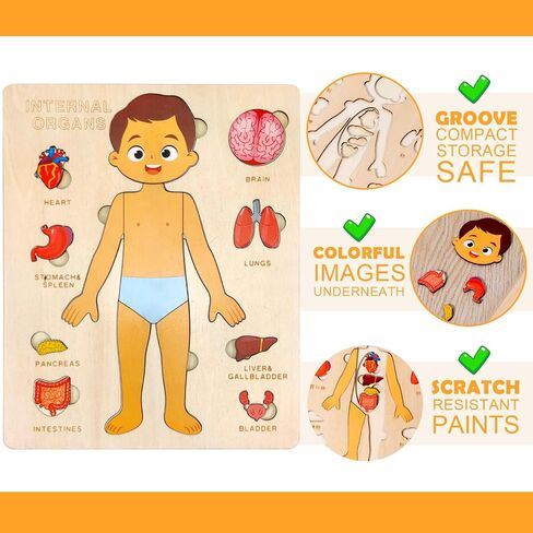 Wooden Body Puzzles for Kids, Toddler Montessori 14 Pieces Boy Anatomy Puzzle, Human Body Learning Toy with Internal Organs Early STEM Educational Toy for Boys and Girls Ages 3 4 5 6 Years Old in Saudi Arabia