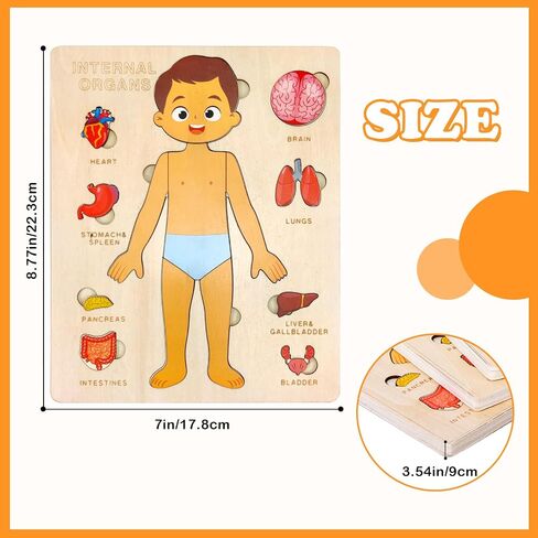 Wooden Body Puzzles for Kids, Toddler Montessori 14 Pieces Boy Anatomy Puzzle, Human Body Learning Toy with Internal Organs Early STEM Educational Toy for Boys and Girls Ages 3 4 5 6 Years Old in Saudi Arabia