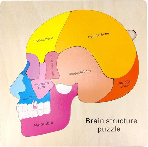 Wooden Body Puzzles for Kids, Toddler Montessori 14 Pieces Boy Anatomy Puzzle, Human Body Learning Toy with Internal Organs Early STEM Educational Toy for Boys and Girls Ages 3 4 5 6 Years Old in Saudi Arabia