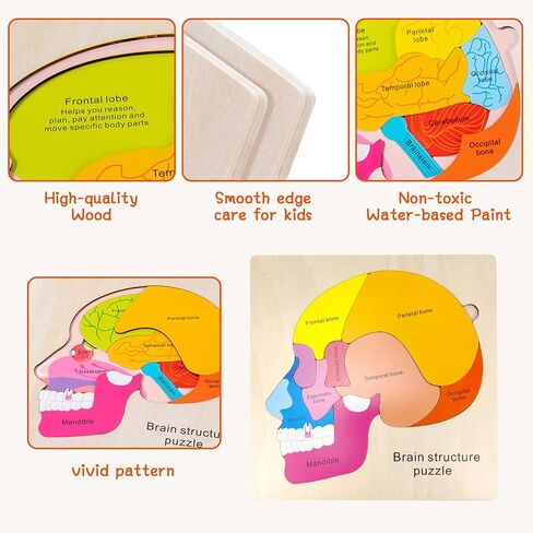 Wooden Body Puzzles for Kids, Toddler Montessori 14 Pieces Boy Anatomy Puzzle, Human Body Learning Toy with Internal Organs Early STEM Educational Toy for Boys and Girls Ages 3 4 5 6 Years Old in Saudi Arabia