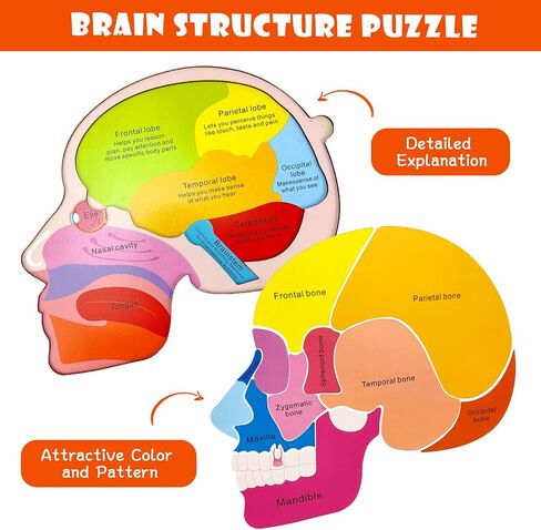 Wooden Body Puzzles for Kids, Toddler Montessori 14 Pieces Boy Anatomy Puzzle, Human Body Learning Toy with Internal Organs Early STEM Educational Toy for Boys and Girls Ages 3 4 5 6 Years Old in Saudi Arabia