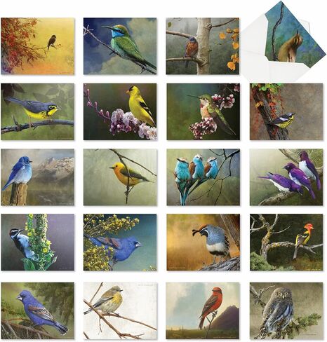 The Best Card Company 20 Assorted Blank Ducks Notecards Boxed Set 4 x 5.12 Inch with Envelopes (10 Designs, 2 Each) for Bird Lovers | Hunters, What's Up Duck AM10038OCB-B2x10 in Saudi Arabia