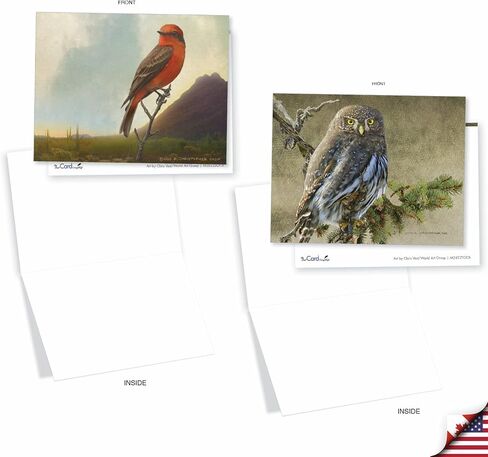 The Best Card Company 20 Assorted Blank Ducks Notecards Boxed Set 4 x 5.12 Inch with Envelopes (10 Designs, 2 Each) for Bird Lovers | Hunters, What's Up Duck AM10038OCB-B2x10 in Saudi Arabia