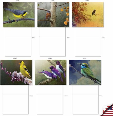 The Best Card Company 20 Assorted Blank Ducks Notecards Boxed Set 4 x 5.12 Inch with Envelopes (10 Designs, 2 Each) for Bird Lovers | Hunters, What's Up Duck AM10038OCB-B2x10 in Saudi Arabia