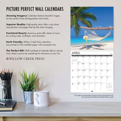 Willow Creek Press Chesapeake Bay Retrievers Monthly 2024 Wall Calendar (12" x 12") in Saudi Arabia