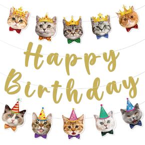 Cat Happy Birthday Banner Sign, Funny Cat Face Birthday Bunting Banner Gold Flag Garland for Cat Birthday Party Carnival Party Decorations Supplies