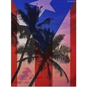 DVWIVGY Diamond Painting Kits Tropical Ocean Vibes Puerto Rico Flag Diamond Art for Adults Kids Diamond Painting Kits Accessories Full Drill Kit Crystal Pictures Home Wall Decor Gifts 16 x 12 inch