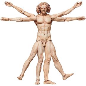 FREEing Table Museum The Vitruvian Man Figma Action Figure