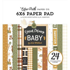 Special Delivery Baby 6x6 Paper Pad