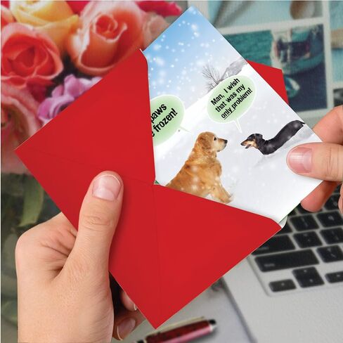 NobleWorks Hysterical Christmas Greeting Card with 5 x 7 Inch Envelope (1 Card) Merry Christmas Holiday My Paws Are Frozen 5953 in Saudi Arabia