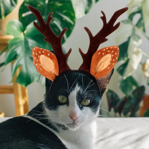 FRCOLOR Santa Hat Running Accessories for Women Lace Headbands Pet Antlers Headband Pet Elk Hat Deer Ears for Small Dog Halloween Clothing Dog Cat Antler Hat Miss Brown Lace Head Scarf in Kuwait