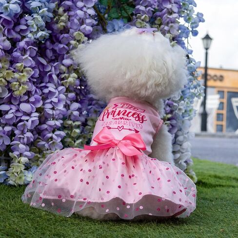 CuteBone Dog Dress Birthday Girl Puppy Princess Clothes Costume Cat Apparel Small Dogs Pet Outfit DD20M in Saudi Arabia